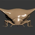 Copper Colored Beetle Model With Smooth Body And Reflective Wings On Dark Background
