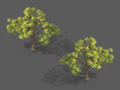 Two Arbor Trees With Lush Green Leaves And Brown Trunks Against Gray Background 3d model