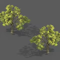Two Arbor Trees With Lush Green Leaves And Brown Trunks Against Gray Background