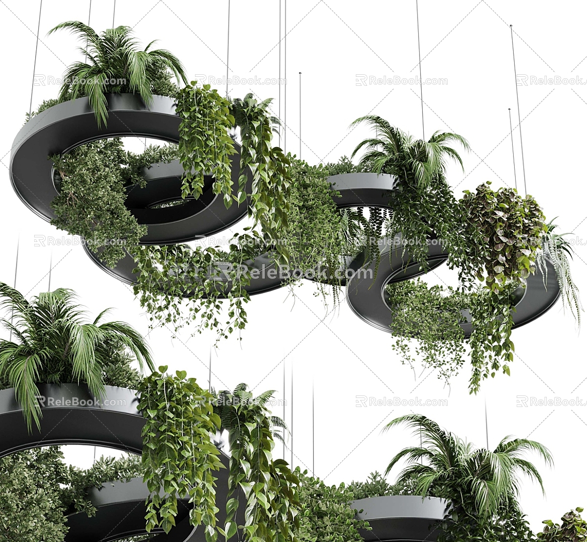 Modern hanging plant hanging plant hanging basket indoor plant plant chandelier 3d model