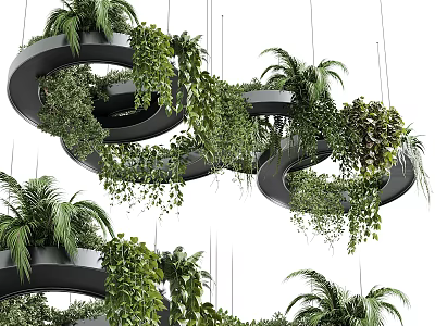 Hanging Basket Plants With Circular Spiral Design Featuring Lush Tropical Greenery And Palm Leaves 3d model