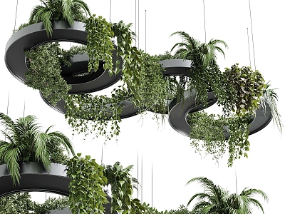 Modern hanging plant hanging plant hanging basket indoor plant chandelier 3d model