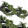 Hanging Basket Plants With Circular Spiral Design Featuring Lush Tropical Greenery And Palm Leaves
