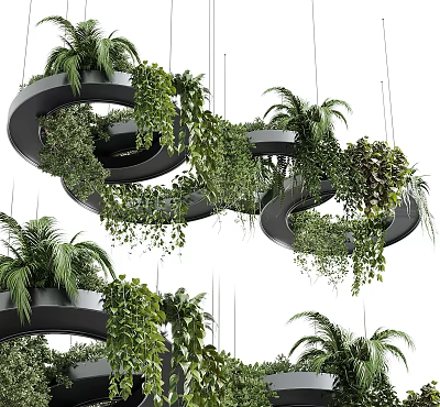 Hanging Basket Plants With Circular Spiral Design Featuring Lush Tropical Greenery And Palm Leaves 3d model