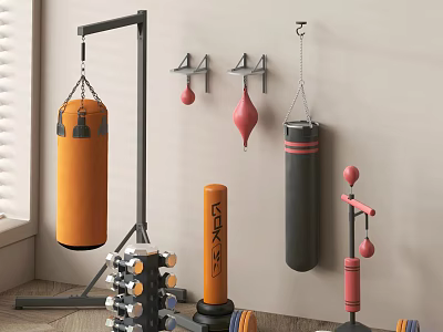 Home Gym Training Equipment With Punching Bags Speed Bags And Dumbbells 3d model