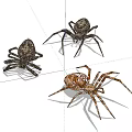 Reptile Figurines With Metallic Textures And Diverse Poses On Gray Surface