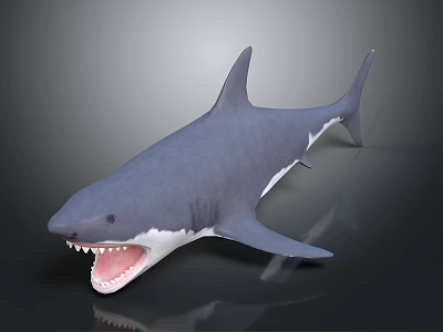 Shark Model With Open Mouth Sharp Teeth And Shiny Surface On Dark Background 3d model