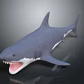 Shark Model With Open Mouth Sharp Teeth And Shiny Surface On Dark Background