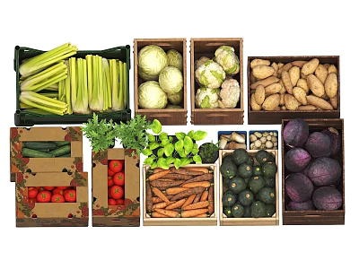 Assorted Fresh Vegetables in Wooden Crates Including Celery Cabbage Potatoes Carrots and Zucchini 3d model