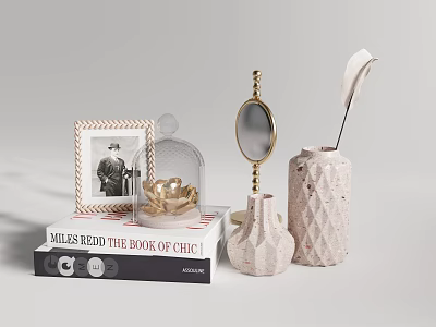 Stylish Decorative Ornament Set With Photo Frame Glass Cloche Mirror Ceramic Vases Feather And Books 3d model