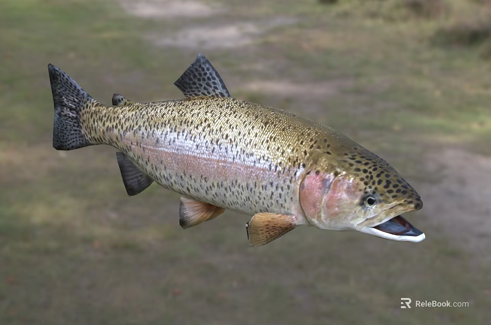 Rainbow Trout Suspended Fresh Whole Fish With Spotted Body Open Mouth And Pinkish Hue 3d model 