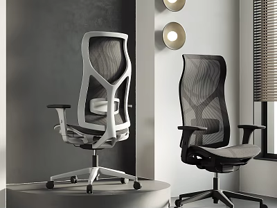 Modern Mesh Office Chairs In Black And White For Interior Workspace 3d model