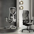 Modern Mesh Office Chairs In Black And White For Interior Workspace 3d model