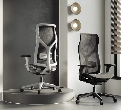 Modern Mesh Office Chairs In Black And White For Interior Workspace 3d model