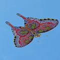 Colorful Butterfly With Vibrant Red Pink And Green Intricate Wing Patterns