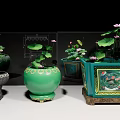 Decorative Aquarium Fish Tanks Featuring Green Bodies and Lotus Water Lilies