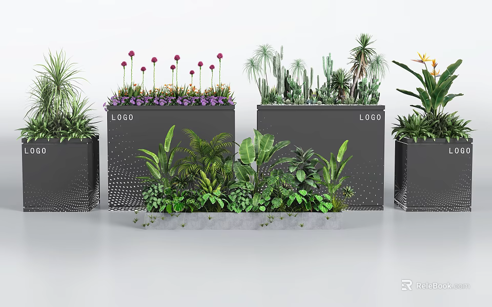 Modern Plant Combinations in Stylish Containers With Mixed Green Foliage and Flowering Plants 3d model 