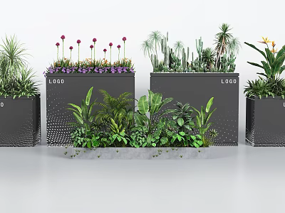 Modern Plant Combinations in Stylish Containers With Mixed Green Foliage and Flowering Plants 3d model