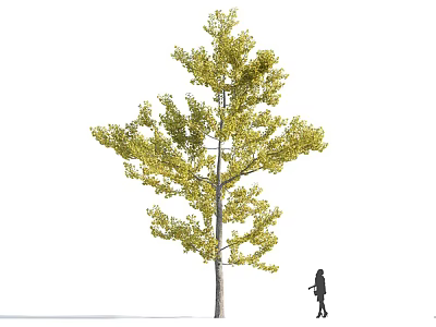 Tall Arbor With Yellow Leaves And A Person Standing Nearby 3d model