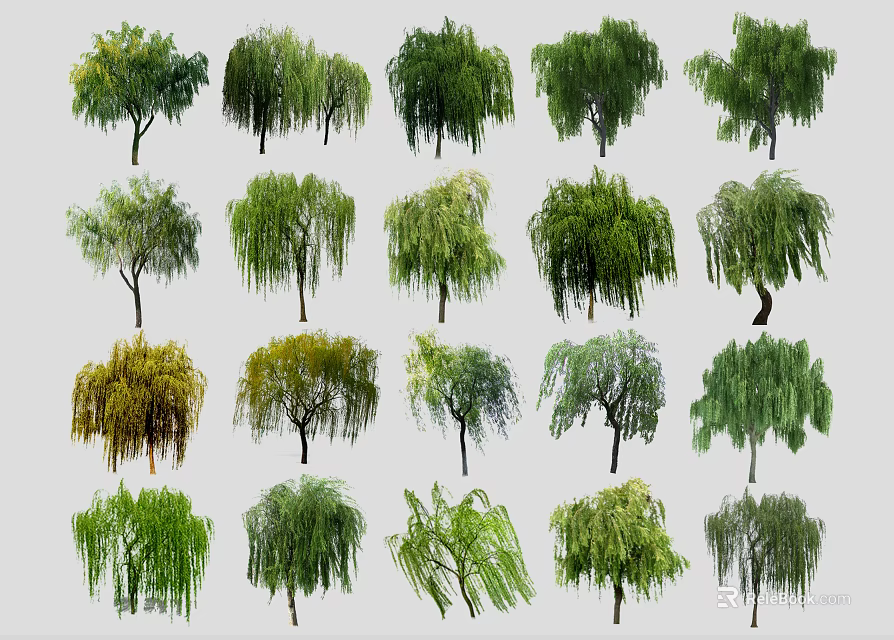 Different Types Of Arbor Trees With Various Foliage And Natural Shapes 3d model 
