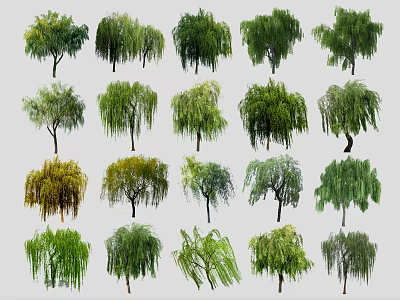 Different Types Of Arbor Trees With Various Foliage And Natural Shapes 3d model
