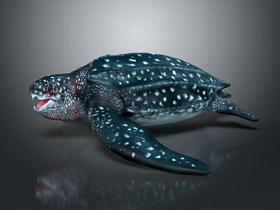 Spotted Sea Turtle With Dark Shell And Open Mouth On Reflective Surface 3d model