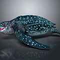 Spotted Sea Turtle With Dark Shell And Open Mouth On Reflective Surface 3d model