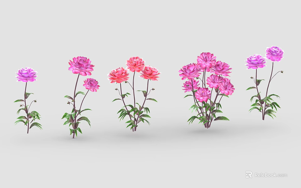 Pink And Purple Flowers With Green Leaves And Stems Arranged In Row 3d model 