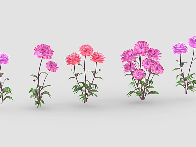 Pink And Purple Flowers With Green Leaves And Stems Arranged In Row 3d model