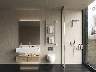 Modern Toilet Mirror Spray Towel Rack Washstand 3d model