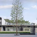 Modern Commercial Street Architecture With White Roofs Lush Trees And Green Spaces