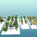 Various Arbor Varieties With Different Colored Foliage Arranged On White Platforms 3d model