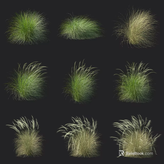 Various Ornamental Shrubs with Green and Golden Tufted Foliage Varieties for Landscaping 3d model 