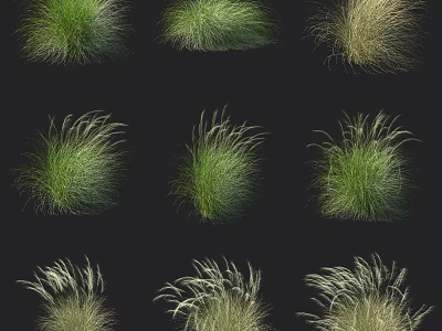 Various Ornamental Shrubs with Green and Golden Tufted Foliage Varieties for Landscaping 3d model