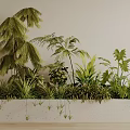 Bonsai Potted Plants With Various Leaf Shapes And Hanging Small Plants In Long White Container