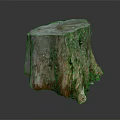 Natural Wooden Tree Stump Decor Piece With Rough Surface And Wood Grain Texture
