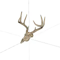 Natural Deer Skull With Intricate Antlers For Rustic Wall Decor 3d model
