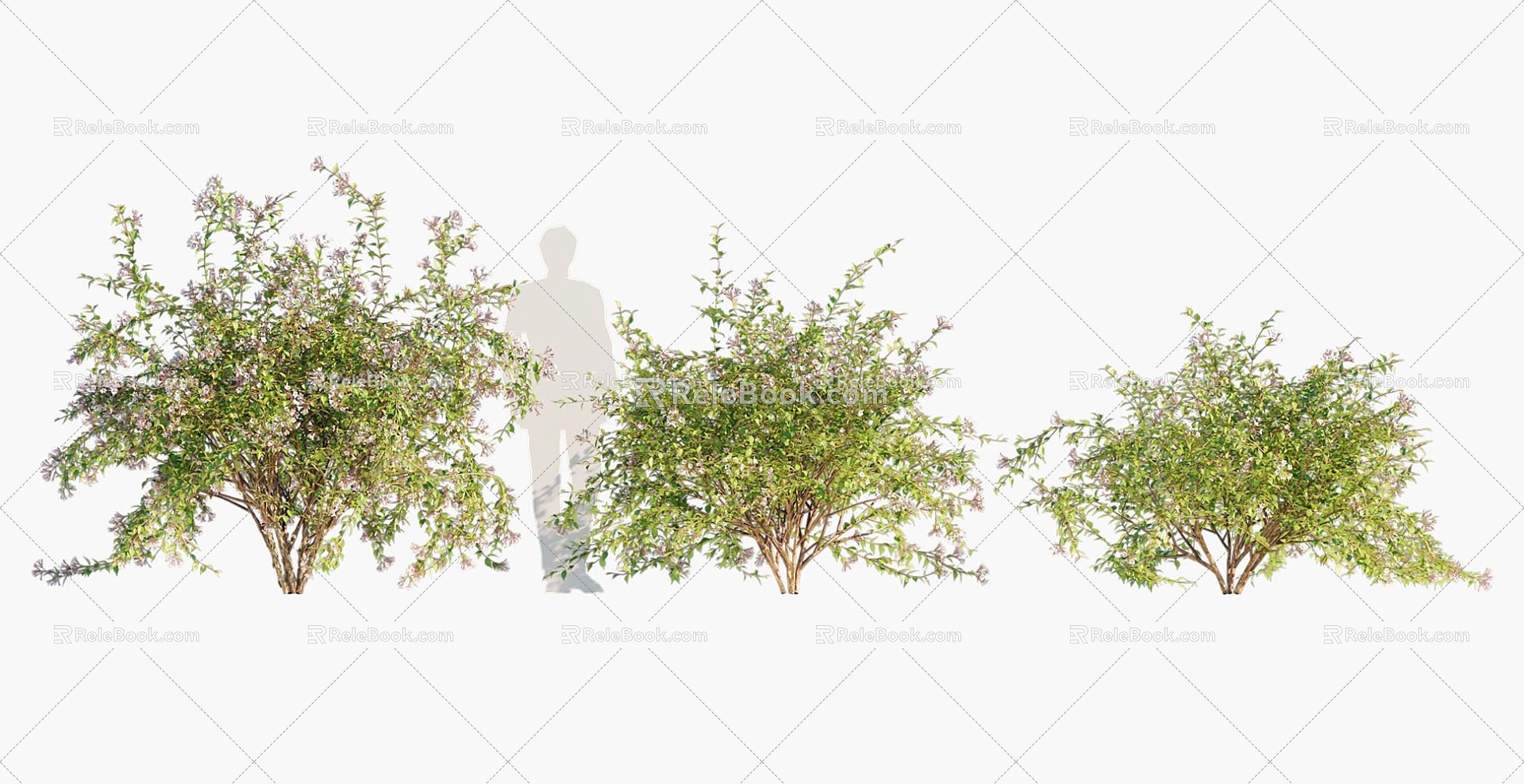 plants shrubs flowers 3d model