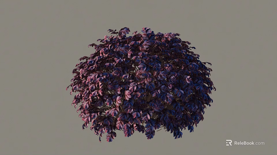 Well Trimmed Round Shaped Shrub with Vibrant Purple Foliage and Lush Leaves 3d model 