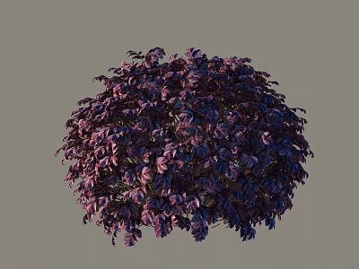 Well Trimmed Round Shaped Shrub with Vibrant Purple Foliage and Lush Leaves 3d model