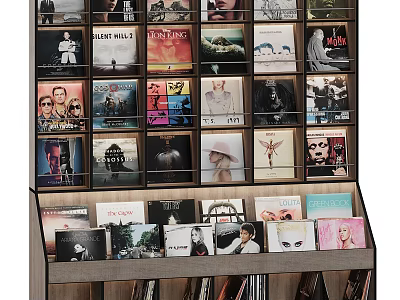 Stylish Modern Wooden Bookcase Displaying Vinyl Record Covers And Music Albums 3d model