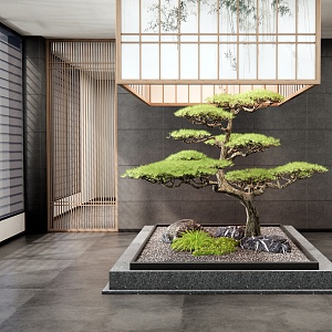 New Chinese Style Interior Landscape Pine Tree Welcome Pine Landscape Stone Courtyard Setches 3d model