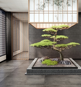 New Chinese Style Interior Landscape Pine Tree Welcome Pine Landscape Stone Courtyard Setches 3d model