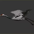 White and Green Crane Flying with Red Crown Yellow Beak on Gray Background