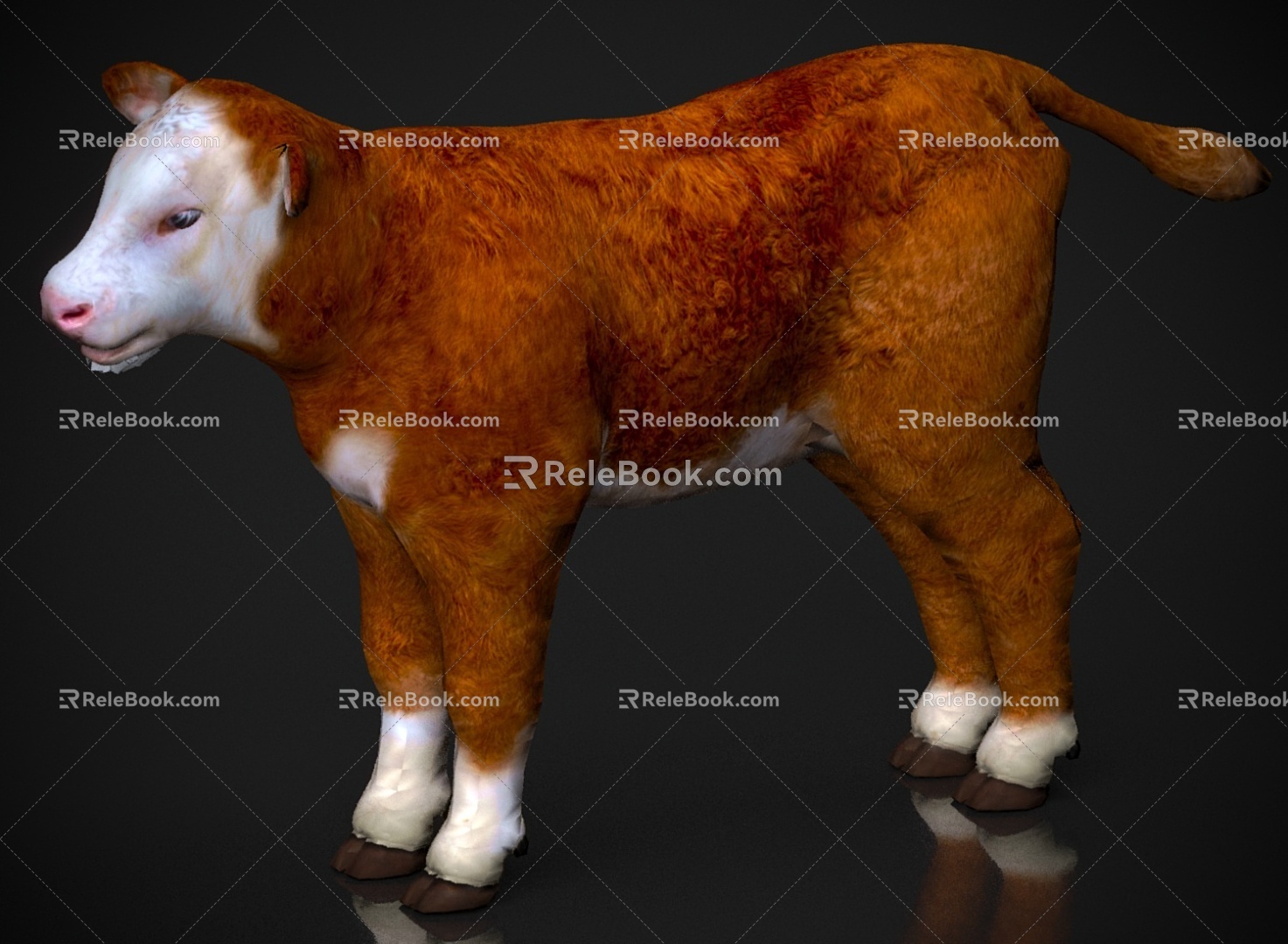 Cow pup animal 3d model