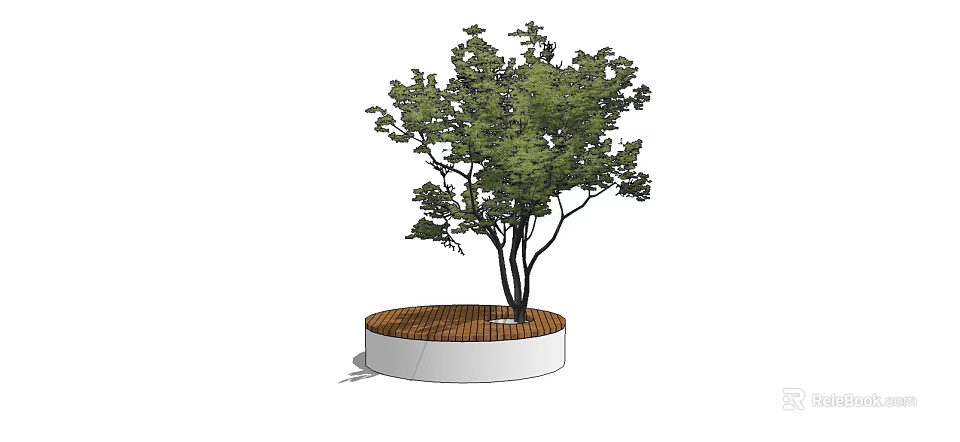Modern Tree Planter with White Circular Base Wooden Cover and Green Leaf Tree 3d model 