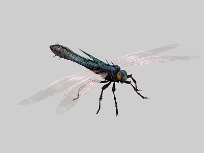The next world with ancient dragonfly with a full set of animation 3d model