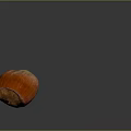 Fresh Ripe Hazelnut With Orange Textured Surface On Dark Background