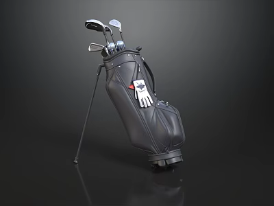 Golf Course Equipment Featuring Black Golf Bag Clubs And White Gloves 3d model