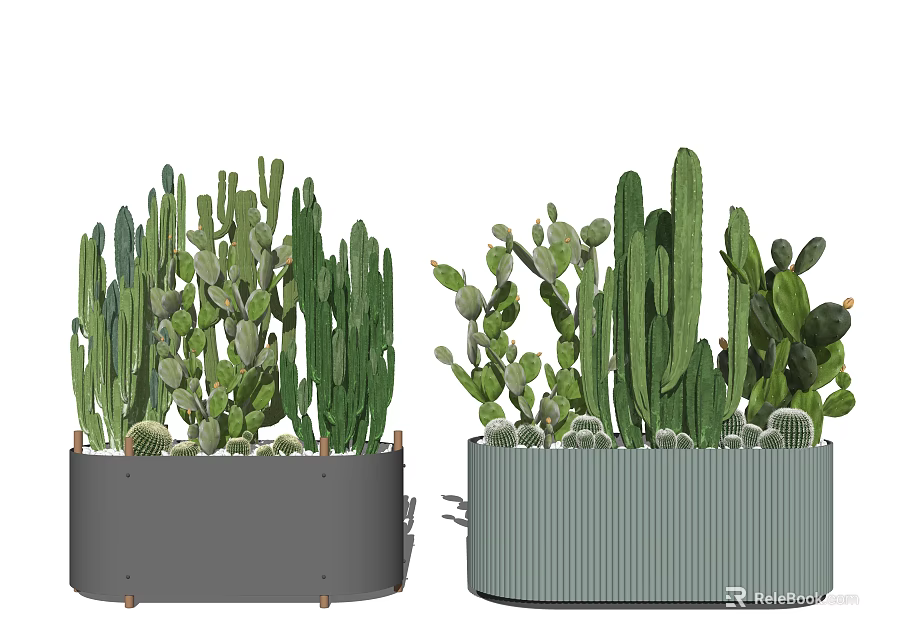 Decorative Cactus Potted Plants in Gray Pot with Wooden Base and Green Ribbed Planter 3d model 